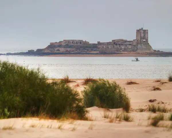Ruinas de Sancti Petri que ver: castillo en isla rocosa, mar y dunas con vegetación. Un barco navega cerca.