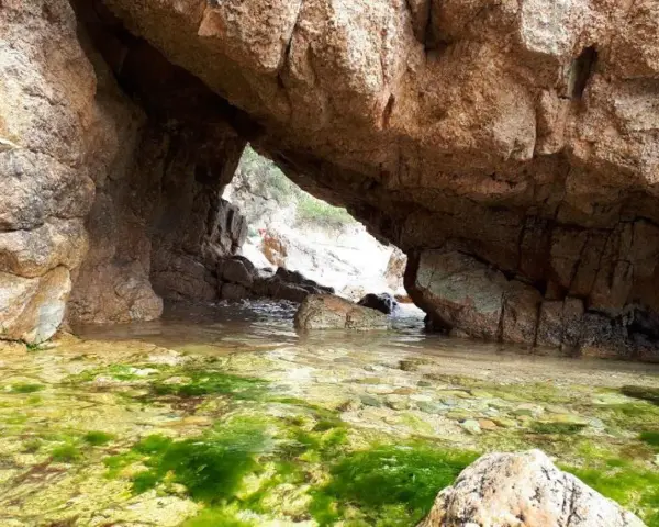 Entrada a la cala del crit, con rocas y algas verdes en el agua cristalina.