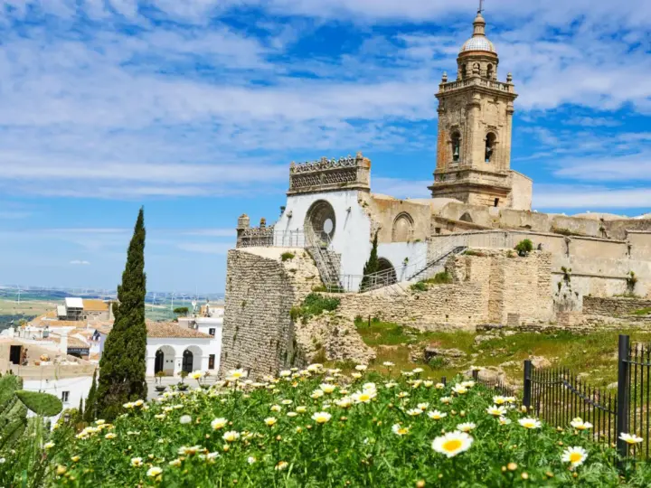 Descubre qué ver en Medina Sidonia: ruinas de un castillo, una iglesia con torre campanario y un campo de margaritas bajo un cielo azul.