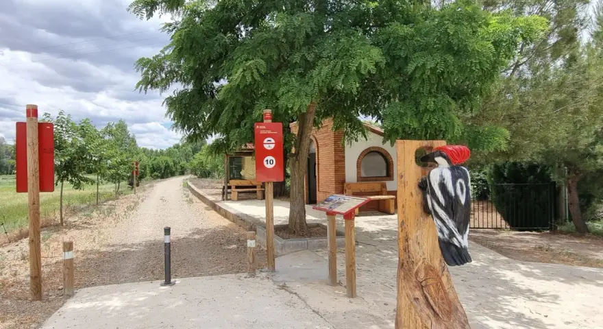 Escultura de pájaro carpintero en la ruta de Ferreruela de Huerva. Señalización informativa y camino de tierra.