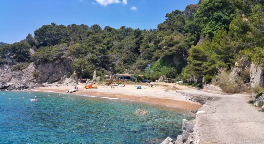 Aguas cristalinas y arena dorada en Cala d'en Carlos, con un chiringuito y pinos frondosos.