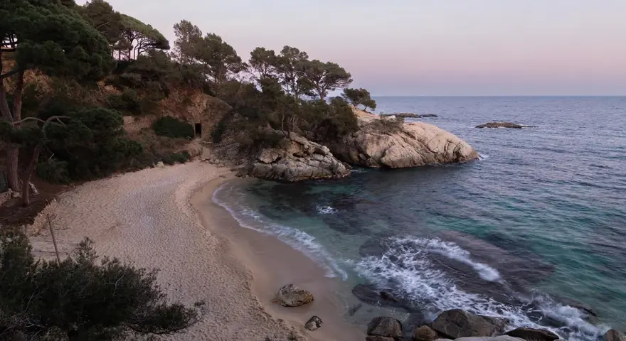 Tranquila cala pi en la Costa Brava, con arena dorada, aguas cristalinas y pinos que bordean la costa rocosa.