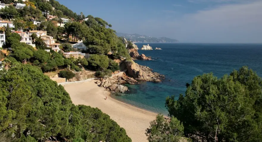La cala de Sant Francesc, con sus aguas turquesas y arena dorada, se asoma entre pinos y casas blancas en la ladera.