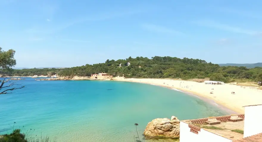 Vista panorámica de la platja de Castell, con aguas turquesas cristalinas y una playa de arena dorada bordeada de pinos.