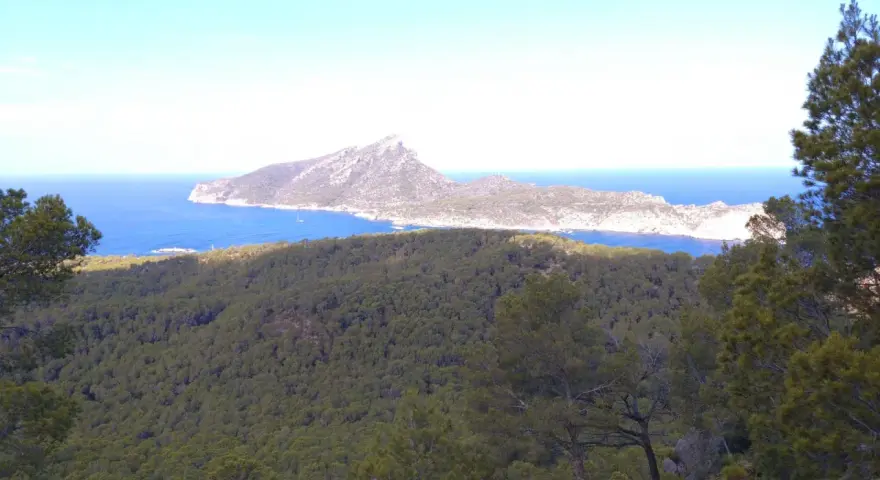 Vista desde el mirador Sant Elm: mar azul intenso, una isla montañosa y un bosque frondoso.
