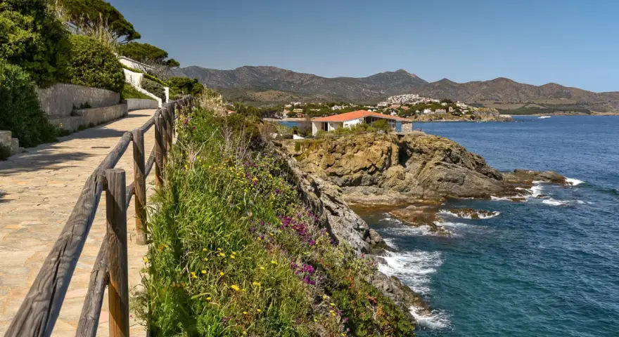 Un sendero de piedra bordea la costa, con flores silvestres y un mar azul. El cami de ronda costa brava ofrece vistas espectaculares.