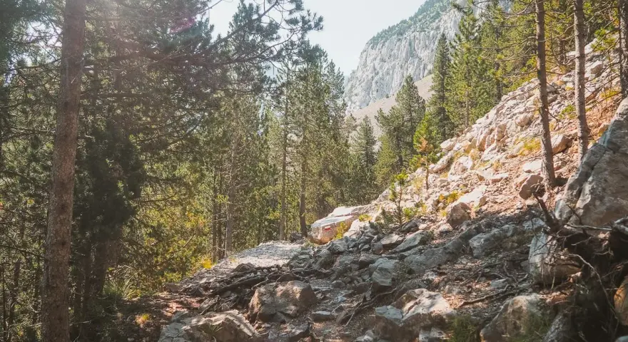 Sendero rocoso entre pinos, con una marca roja en una roca que indica el ibón de Plan.