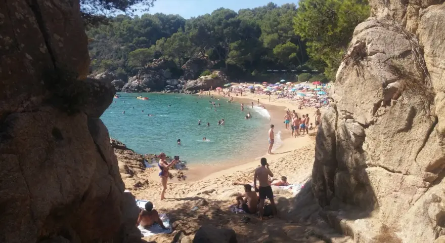 Gente disfrutando del sol y el mar en la platja de Treumal, con rocas y pinos en primer plano.