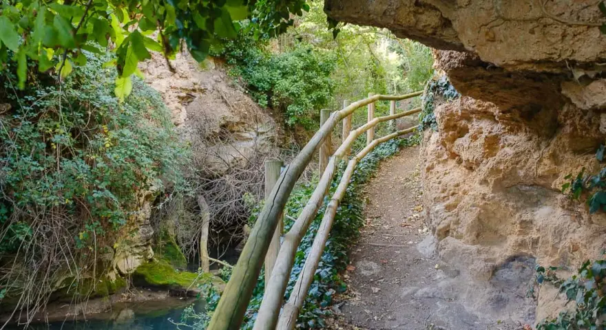 Sendero natural con barandilla de madera bordeando el cañón del río Mesa, con vegetación exuberante y rocas.