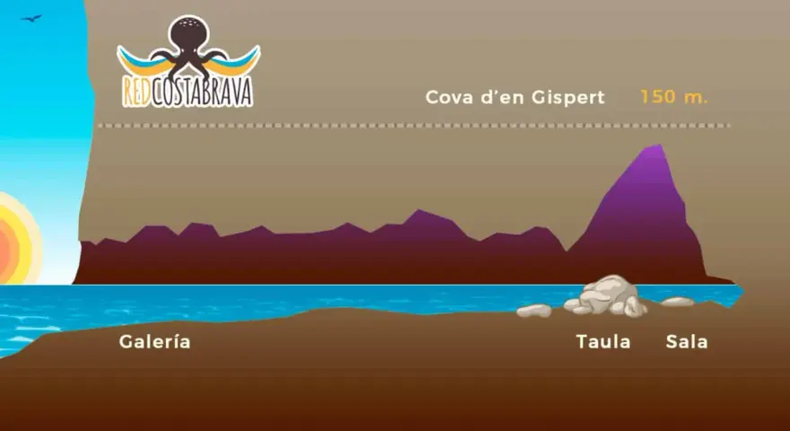 Ilustración de la Cova d'en Gispert, una cueva en la Costa Brava, con sus galerías y salas.