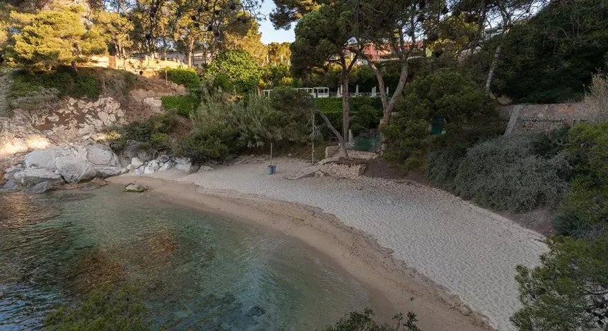 Tranquila cala del pi con arena dorada y aguas cristalinas, rodeada de pinos y vegetación exuberante.