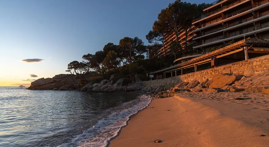 Atardecer dorado en la playa, con olas suaves lamiendo la arena. Al fondo, la silueta de la playa torre valentina se alza entre pinos.
