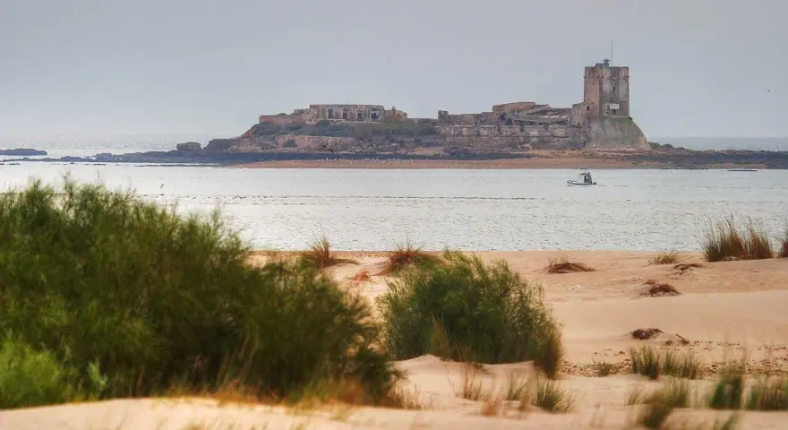 Ruinas de Sancti Petri que ver: castillo en isla rocosa, mar y dunas con vegetación. Un barco navega cerca.