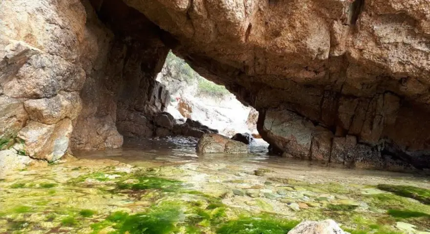 Entrada a la cala del crit, con rocas y algas verdes en el agua cristalina.