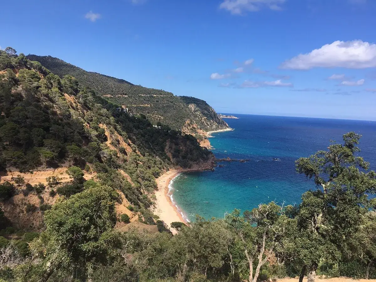 Vista panorámica de la cala del senyor ramon, con aguas turquesas y vegetación exuberante en las laderas.