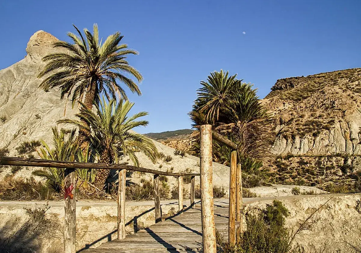 Puente de madera en el desierto de Tabernas, con palmeras y formaciones rocosas bajo un cielo azul.