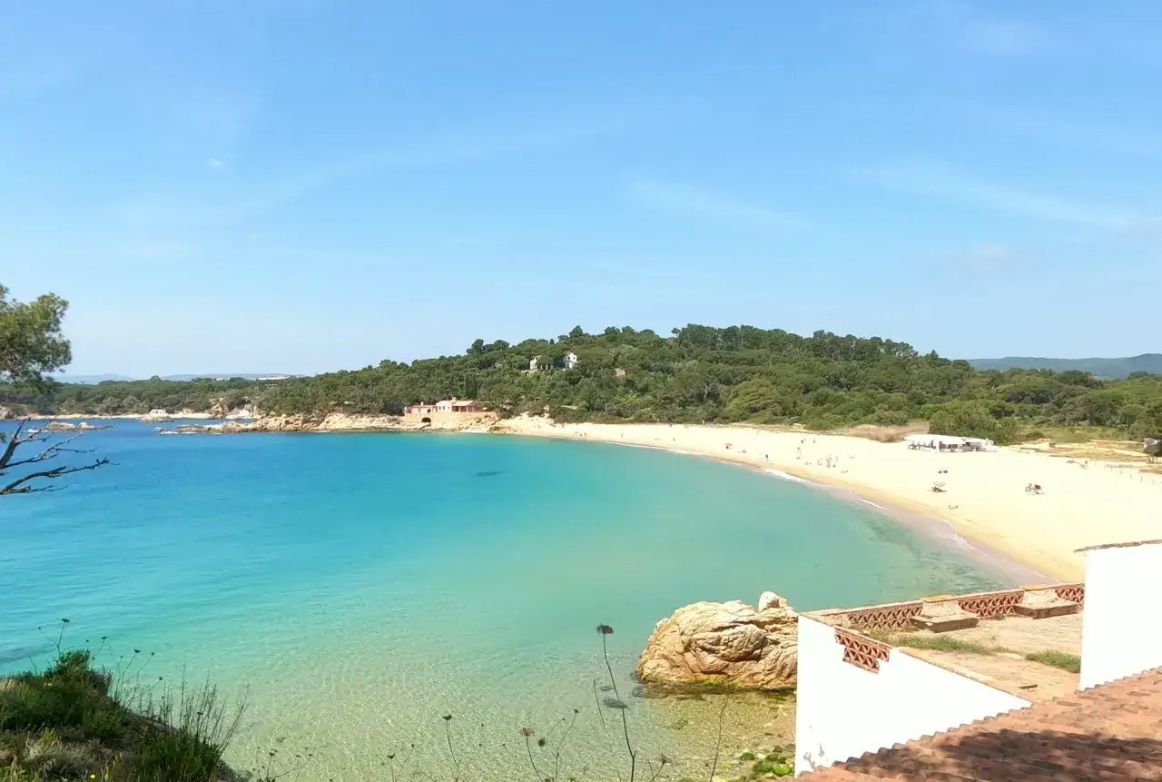 Bahía de aguas turquesas y arena dorada en la platja de Castell, rodeada de pinos y con algunas casas en la ladera.
