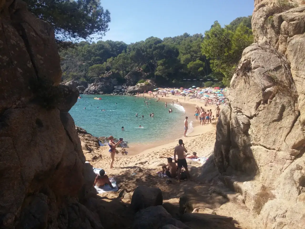 Gente disfrutando del sol y el mar en la platja de Treumal, con rocas y pinos rodeando la arena dorada.