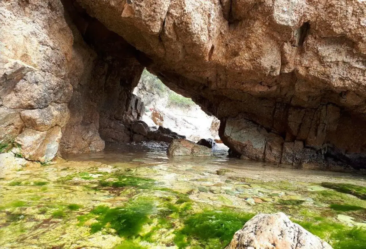 Entrada a la cala del crit, con rocas y algas verdes en el agua cristalina.