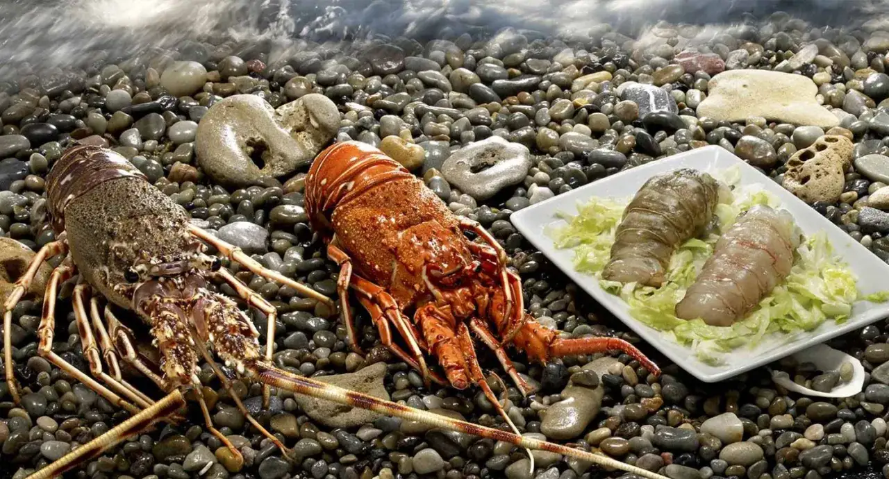 Dos bogavantes frescos y colas de langosta sobre piedras de playa, listos para comer en Cudillero.