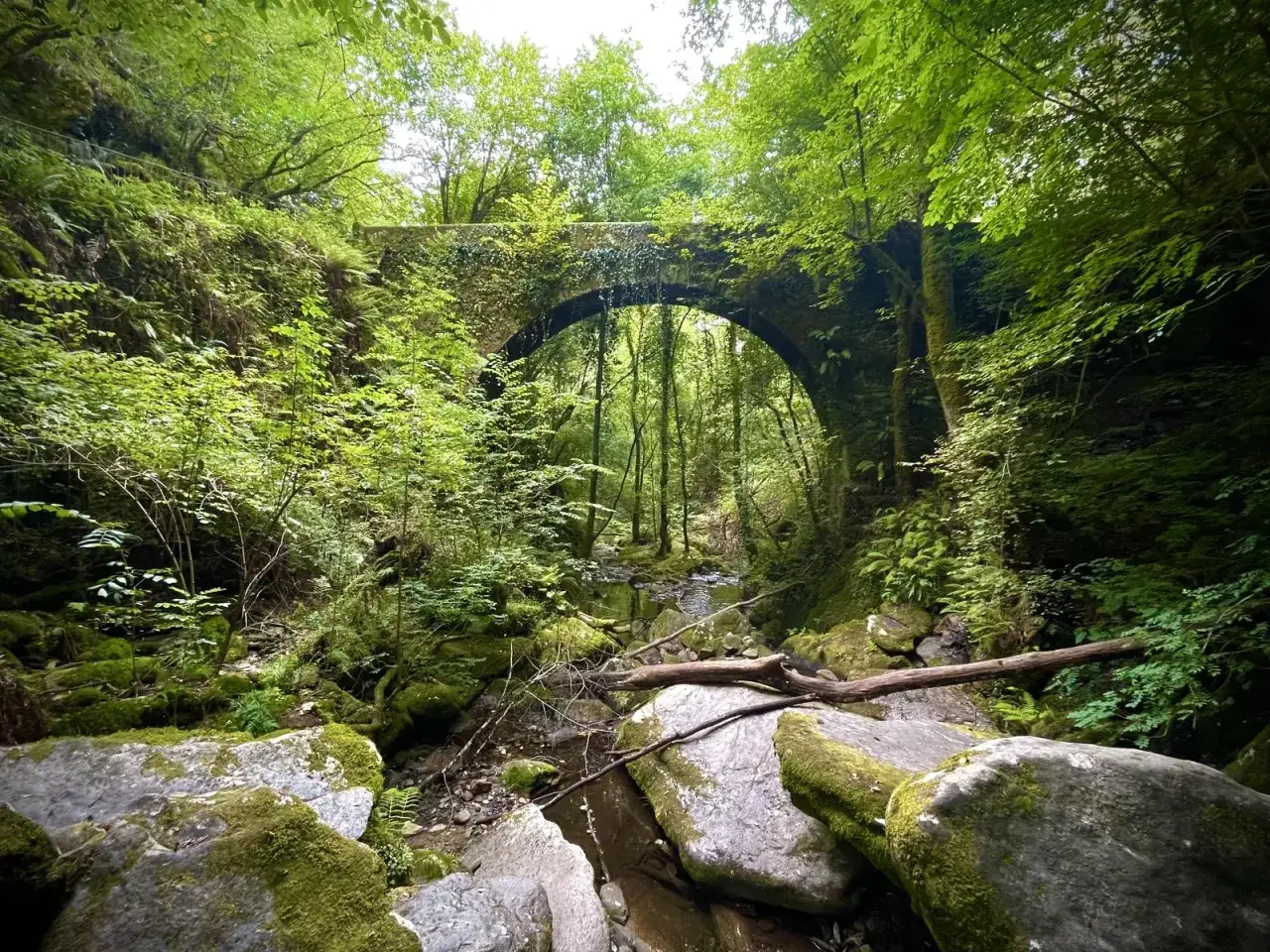 Un puente de piedra cubierto de musgo cruza un arroyo en un bosque frondoso. Un lugar id&iacute;lico que ver en Pontedeume.