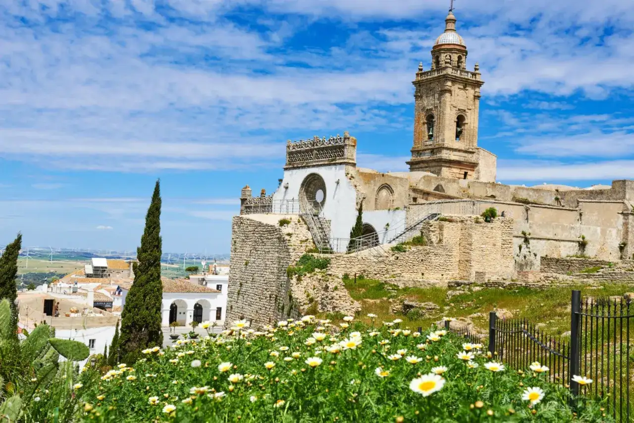Flores silvestres en primer plano, con ruinas de una iglesia y campanario en Medina Sidonia. Un lugar con mucho que ver.