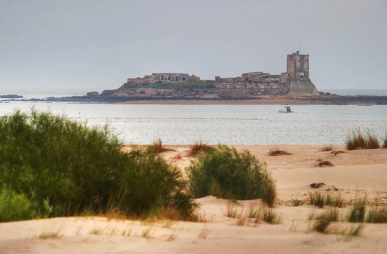 Ruinas de Sancti Petri que ver, con un pequeño barco navegando en el mar frente a la costa.