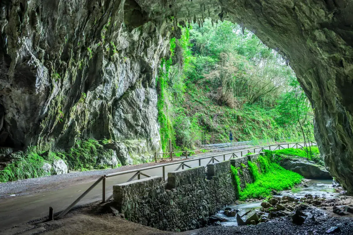 Salida de una cueva con vegetaci&oacute;n exuberante y un camino que invita a explorar qu&eacute; ver en Ribadesella.