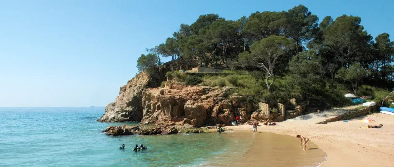 Gente buceando en la cala Canyet, con rocas escarpadas y pinos frondosos. La arena dorada invita al descanso.