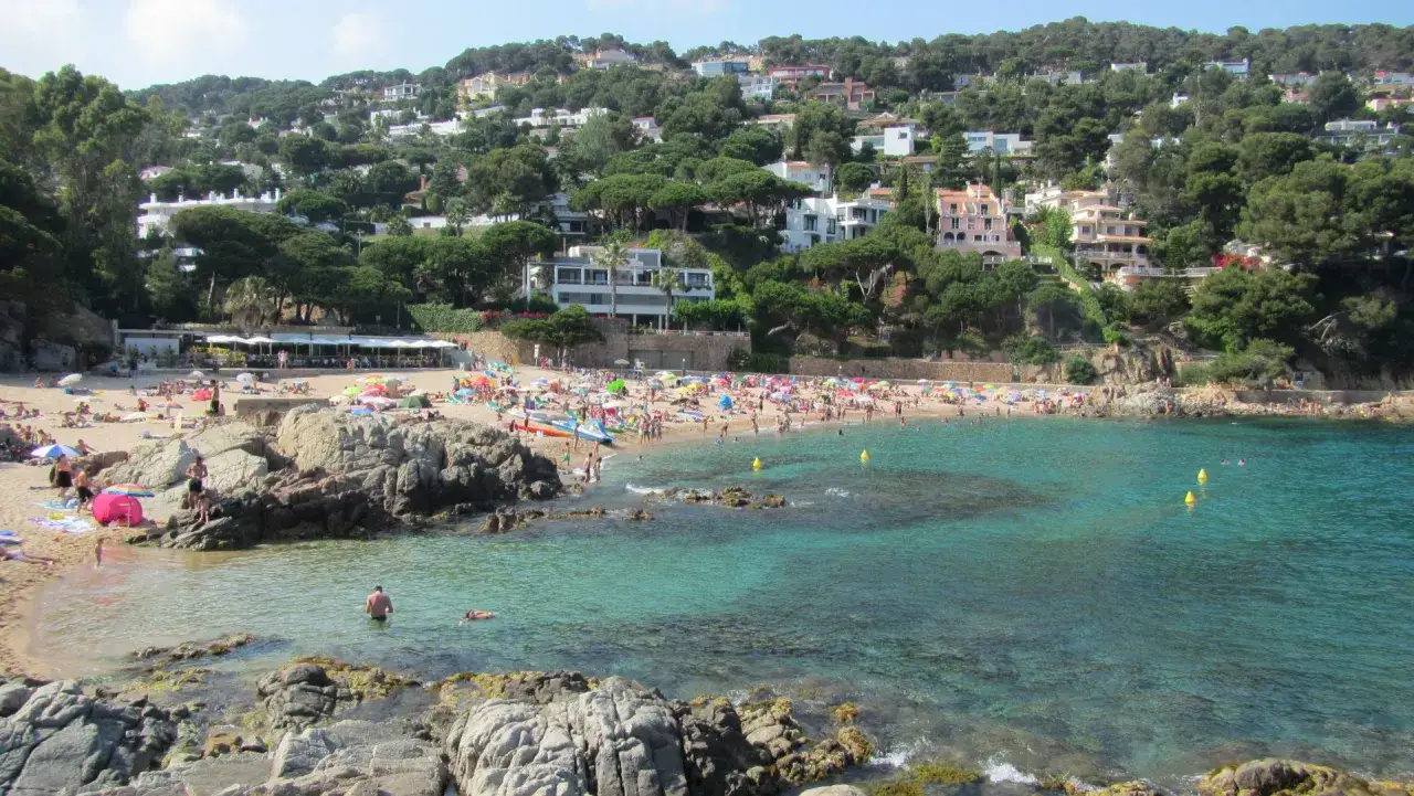 La cala de Sant Francesc, llena de gente disfrutando del sol y el mar turquesa, con casas blancas y pinos en la ladera.