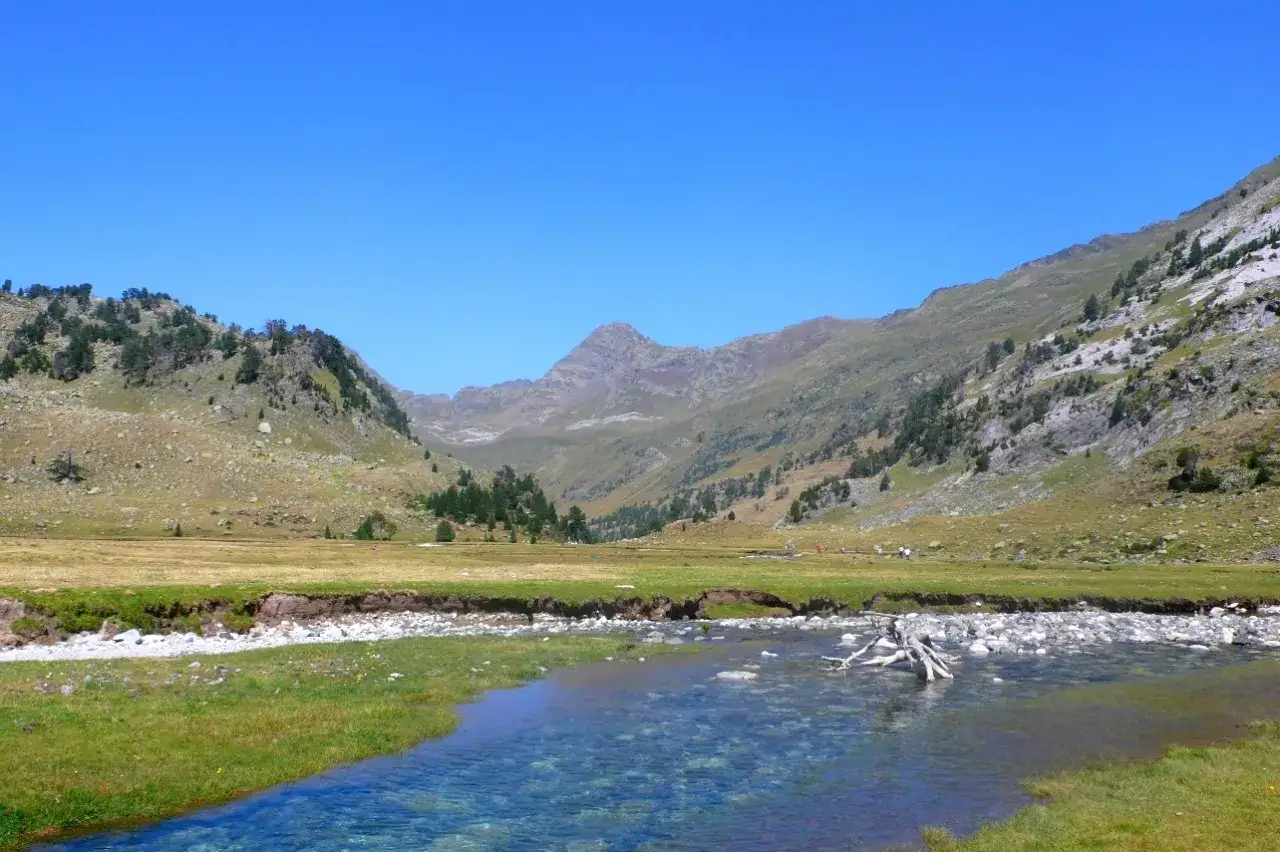 R&iacute;o cristalino serpentea por un prado verde en el parque natural Posets Maladeta, rodeado de monta&ntilde;as cubiertas de pinos y rocas.