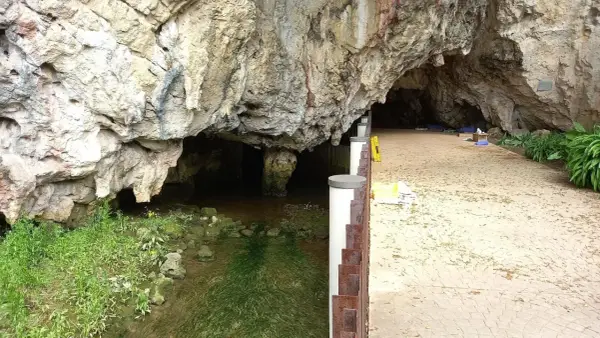 Entrada a una cueva con un arroyo y vegetación. Un camino pavimentado invita a explorar qué ver en Ribadesella.