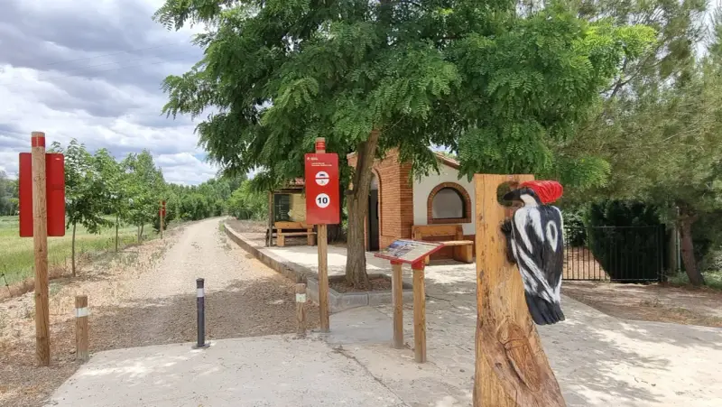Escultura de pájaro carpintero en la ruta de Ferreruela de Huerva. Señalización informativa y camino de tierra.